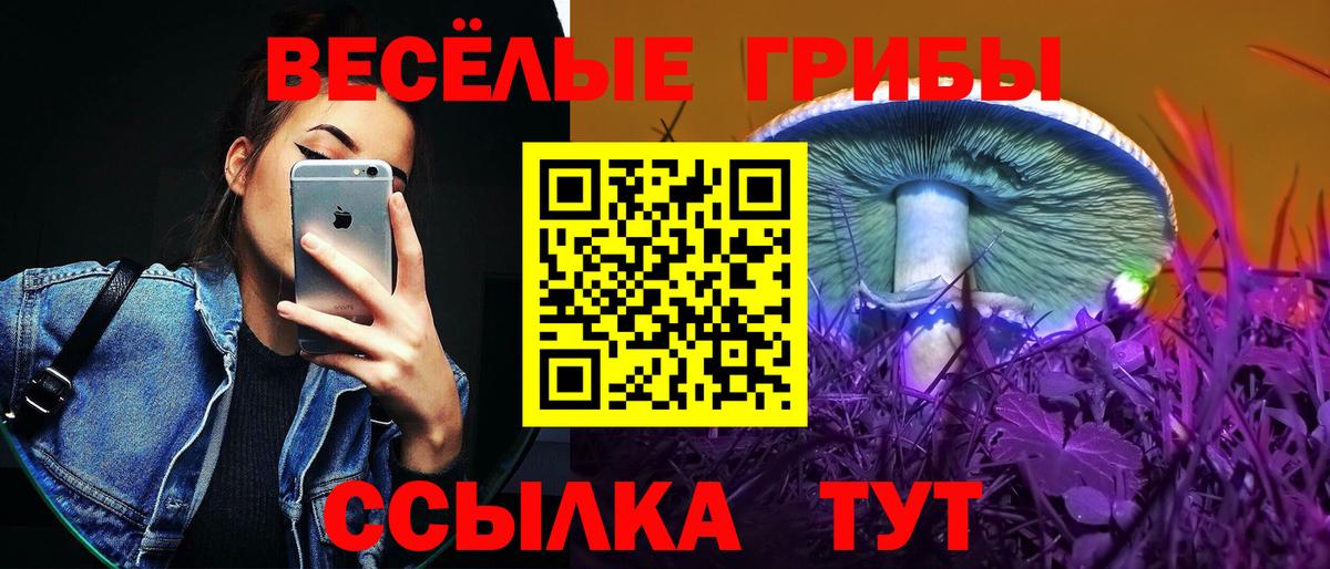 Псилоцибиновые грибы Psilocybine cubensis  Псилоцибиновые грибы ЛСД  Вход с VPN  где можно купить   Заволжье 