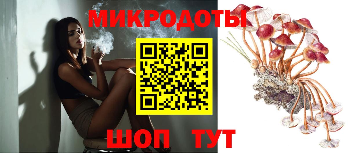 Галлюциногенные грибы Cubensis Заволжье